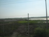 460-IMG_1879.JPG.small.jpeg