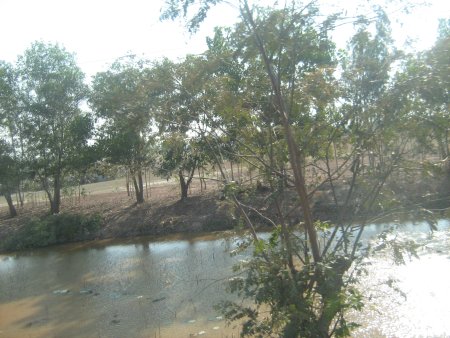 461-IMG_1880.JPG.medium.jpeg