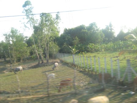 463-IMG_1885.JPG.medium.jpeg