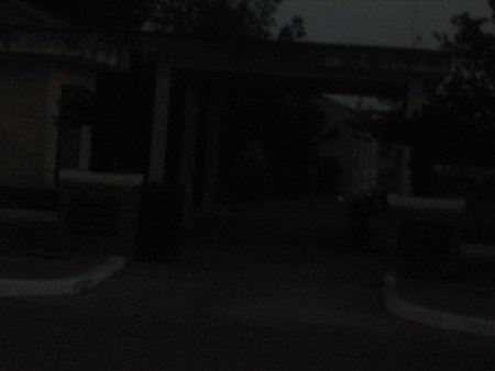 465-IMG_1890.JPG.medium.jpeg