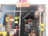 476-IMG_1905.JPG.small.jpeg