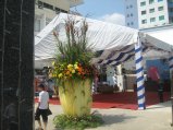 477-IMG_1906.JPG.small.jpeg