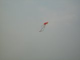 480-IMG_1910.JPG.small.jpeg