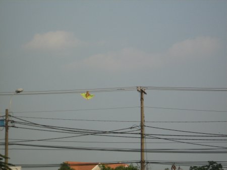 481-IMG_1911.JPG.medium.jpeg