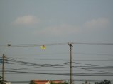 481-IMG_1911.JPG.small.jpeg