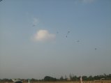482-IMG_1912.JPG.small.jpeg
