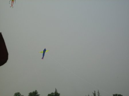 483-IMG_1913.JPG.medium.jpeg