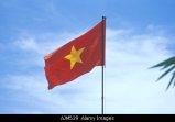 491-vietnamese-flag-vietnam-AJM539.jpg.small.jpeg