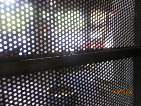 023-IMG_1486.jpg.medium.jpeg