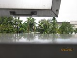 068-IMG_1554.jpg.small.jpeg