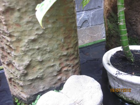 070-IMG_1556.jpg.medium.jpeg