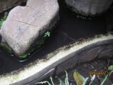 074-IMG_1564.jpg.small.jpeg