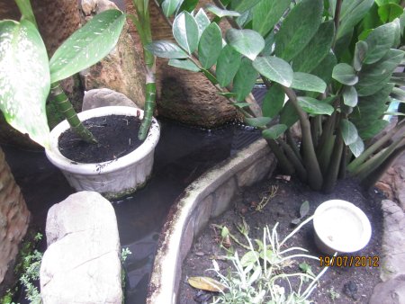 076-IMG_1567.jpg.medium.jpeg