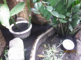 076-IMG_1567.jpg.small.jpeg