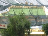 087-IMG_1578.jpg.small.jpeg