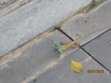 093-IMG_1584.jpg.medium.jpeg