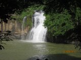 141-Picture 019.jpg.small.jpeg