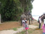161-Picture 039.jpg.small.jpeg