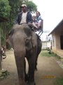 172-Picture 050.jpg.small.jpeg