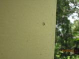 197-Picture 075.jpg.small.jpeg