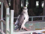 204-Picture 082.jpg.small.jpeg