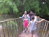 207-Picture 085.jpg.small.jpeg