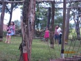 232-Picture 110.jpg.small.jpeg
