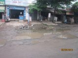 238-Picture 116.jpg.small.jpeg