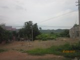 251-Picture 130.jpg.small.jpeg
