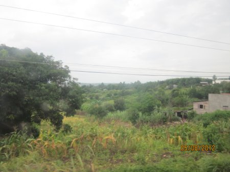 253-Picture 132.jpg.medium.jpeg