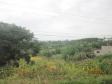253-Picture 132.jpg.small.jpeg