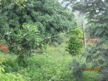 257-Picture 136.jpg.small.jpeg