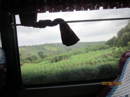 263-Picture 141.jpg.medium.jpeg