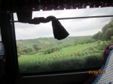 263-Picture 141.jpg.small.jpeg