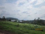 265-Picture 143.jpg.small.jpeg