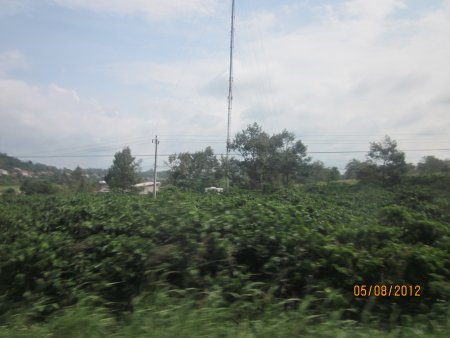 266-Picture 144.jpg.medium.jpeg