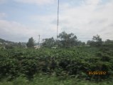 266-Picture 144.jpg.small.jpeg