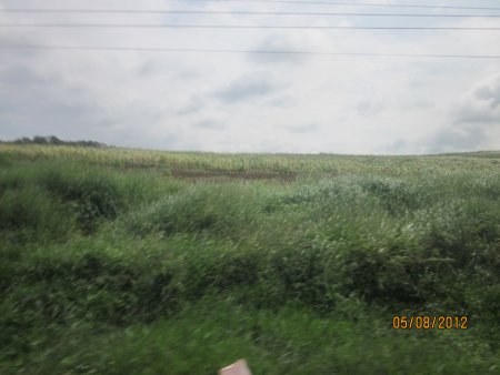 267-Picture 145.jpg.medium.jpeg