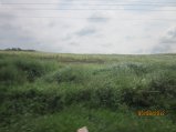 267-Picture 145.jpg.small.jpeg