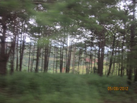 270-Picture 148.jpg.medium.jpeg