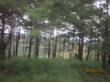 270-Picture 148.jpg.small.jpeg