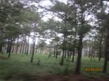 271-Picture 149.jpg.small.jpeg
