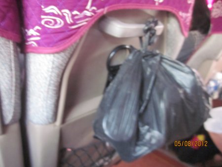 273-Picture 151.jpg.medium.jpeg