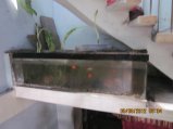289-IMG_1813.JPG.small.jpeg