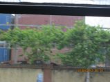 294-IMG_1819.JPG.small.jpeg