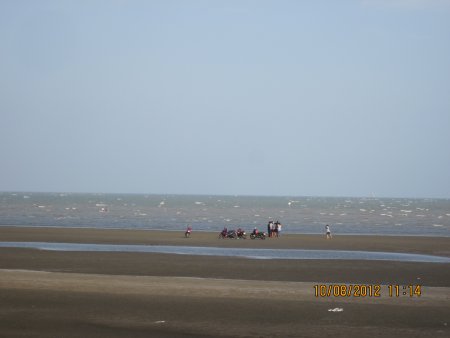 306-IMG_1831.JPG.medium.jpeg