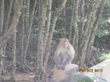 315-IMG_1843.JPG.small.jpeg