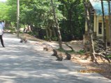 316-IMG_1844.JPG.small.jpeg
