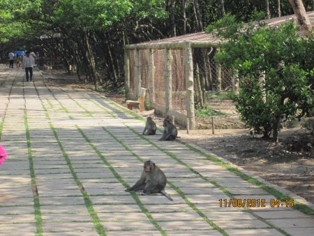 317-IMG_1845.JPG.medium.jpeg