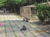 317-IMG_1845.JPG.small.jpeg